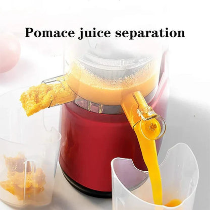 Automatic Juicer with 90mm Wide Chute and Built-In Filter Screen
