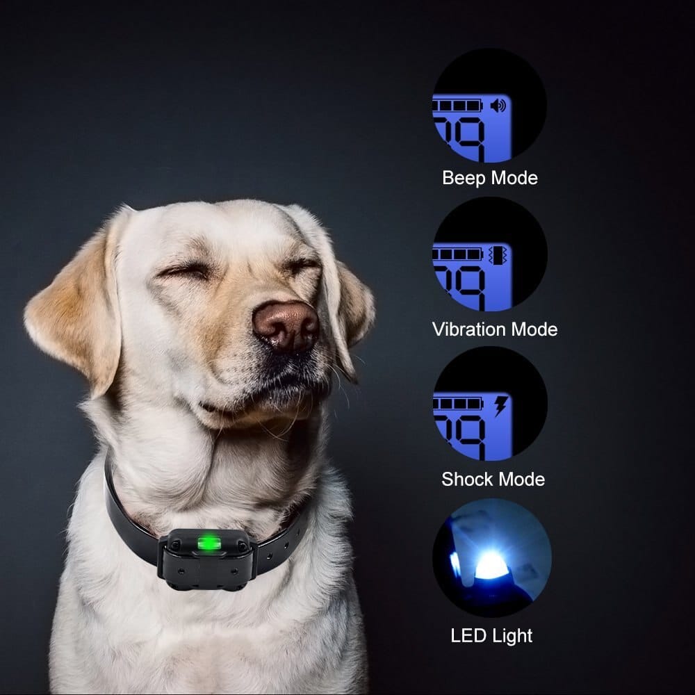 Dog Training Collar with 800 Meter Range and 99 Intensity Levels, LCD Display
