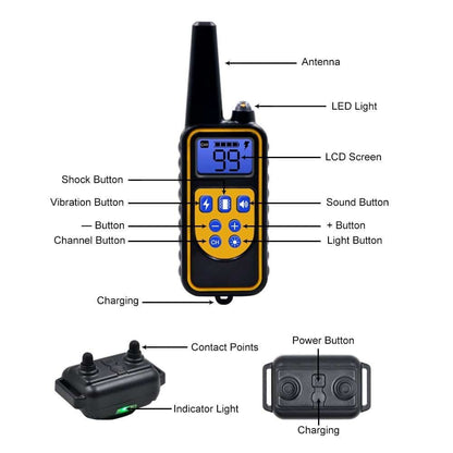 Dog Training Collar with 800 Meter Range and 99 Intensity Levels, LCD Display
