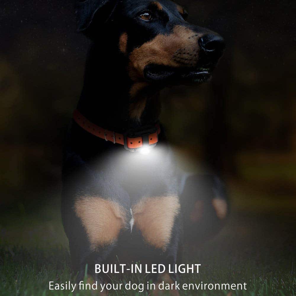 Dog Training Collar with 800 Meter Range and 99 Intensity Levels, LCD Display