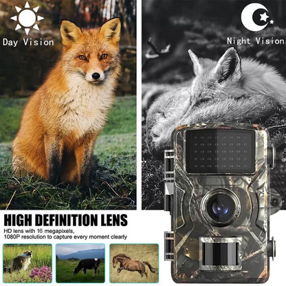 Wildlife Monitoring Camera with 16MP Photos and Infrared Night Vision, 1080P Video