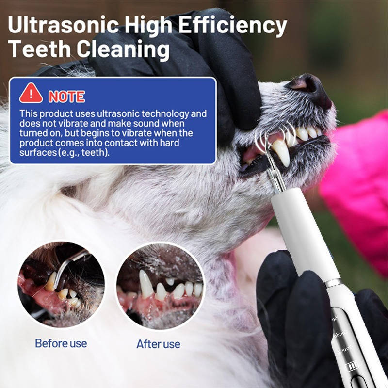 Ultrasonic Dog Tartar Removal Tool with LED Light and Gum Protection Sensor