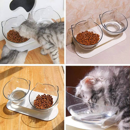 Elevated Cat Bowl with 15 Degree Tilt and Dual Transparent Dishes, Anti Slip Base