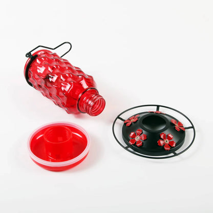 Glass Hummingbird Feeder with Bee Guard Ports and Ant Moat, 16 oz