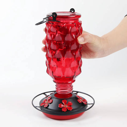 Glass Hummingbird Feeder with Bee Guard Ports and Ant Moat, 16 oz