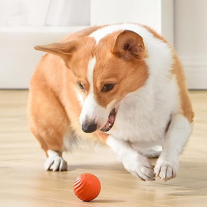 Automatic Rolling Dog Toy with Obstacle Sensor and 60-Minute Battery, Rechargeable All Vera Mart