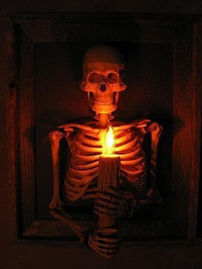 Framed 3D Skeleton Torso with Working Candle Light and Wall Mounting Hardware