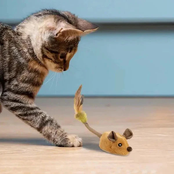 Interactive Rolling Mouse Toy with Motion Sensor and Rechargeable Battery for Cats