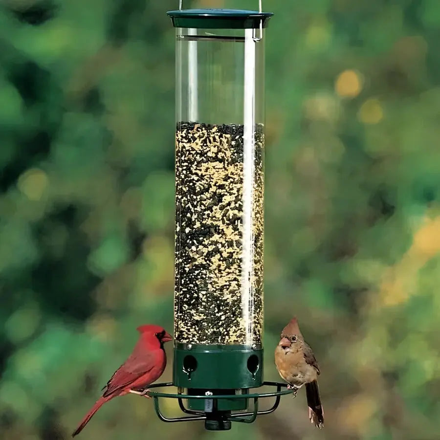 Squirrel Resistant Bird Feeder with Spinning Perch and 5 lb Capacity All Vera Mart