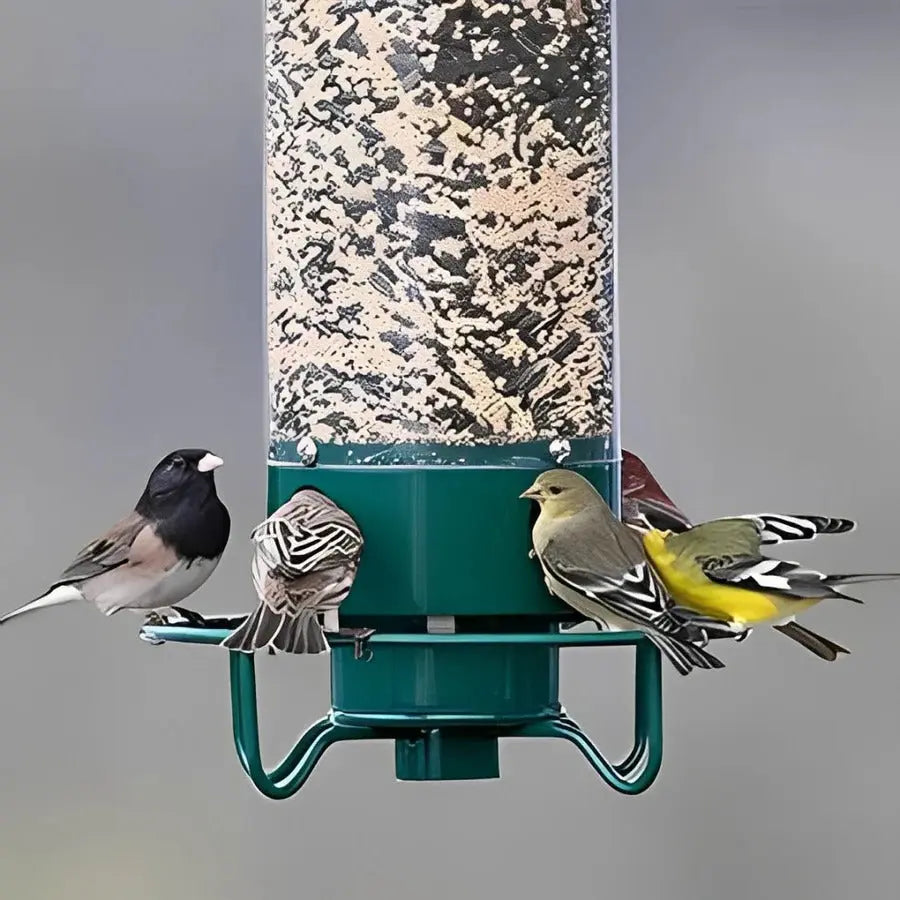 Squirrel Resistant Bird Feeder with Spinning Perch and 5 lb Capacity All Vera Mart