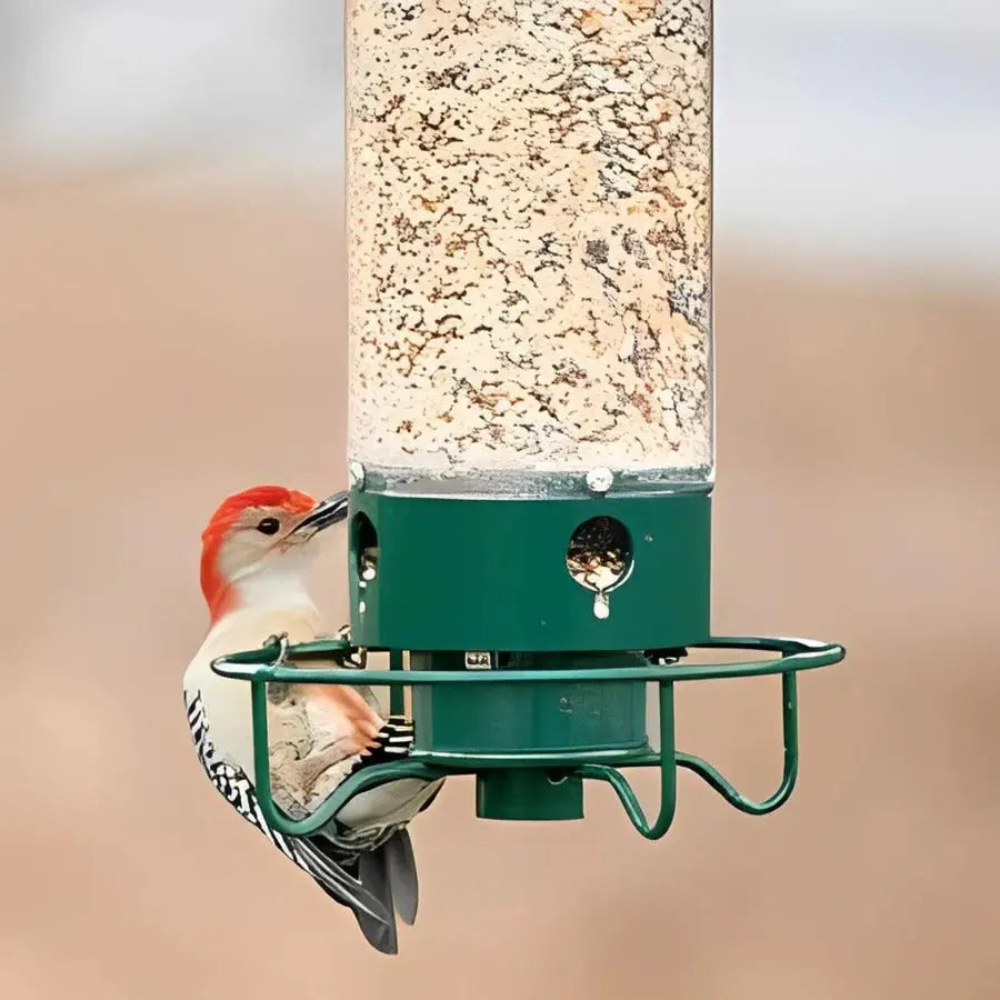 Squirrel Resistant Bird Feeder with Spinning Perch and 5 lb Capacity All Vera Mart