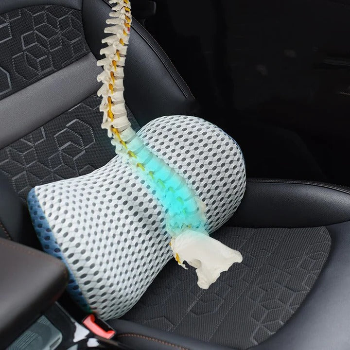 Memory Foam Lumbar Support Cushion with Breathable Washable Cover for Office Chair and Car
