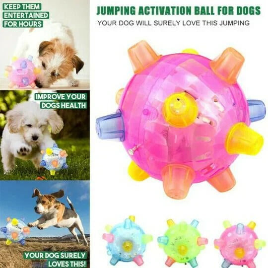 Touch-Activated Jumping Ball for Dogs with Unpredictable Bounce Motion