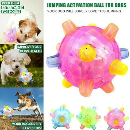 Touch-Activated Jumping Ball for Dogs with Unpredictable Bounce Motion