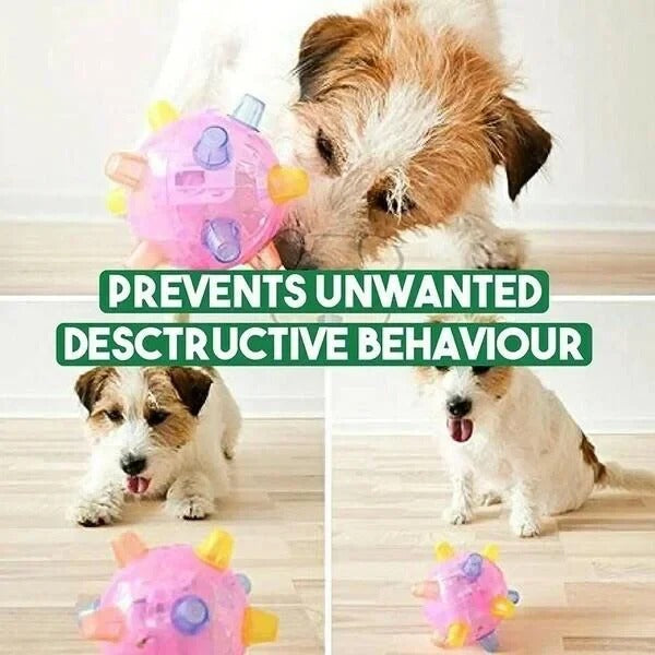 Touch-Activated Jumping Ball for Dogs with Unpredictable Bounce Motion