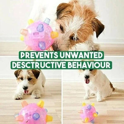 Touch-Activated Jumping Ball for Dogs with Unpredictable Bounce Motion