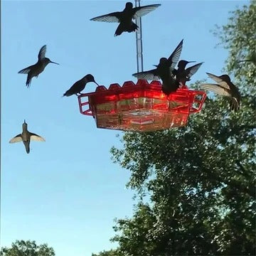 Hanging Hummingbird Feeder with 30 Flower Ports and Ant Barriers