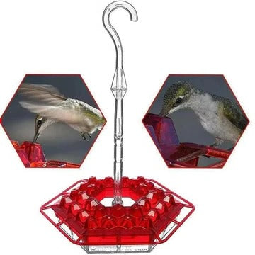 Hanging Hummingbird Feeder with 30 Flower Ports and Ant Barriers