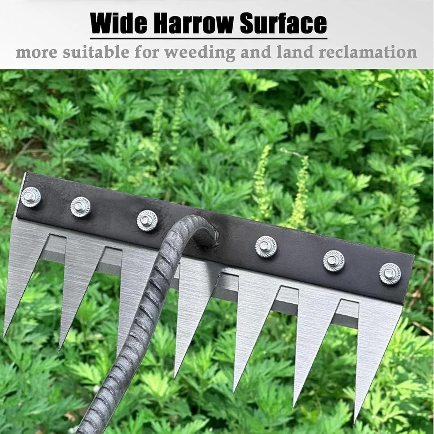 Carbon Steel Weeding Rake Head with Soft Grip and Multiple Tooth Options