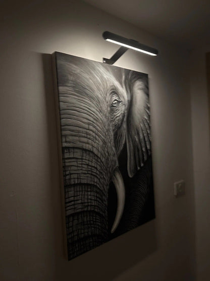 Wall-Mounted LED Picture Light with 360 Degree Rotation and Stepless Dimming