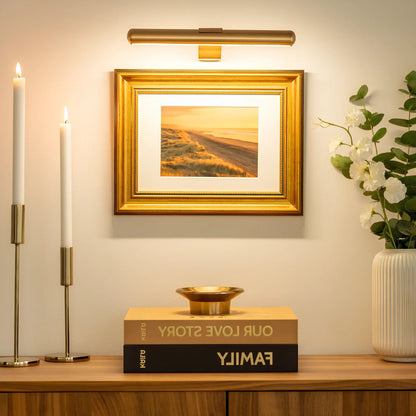 Wall-Mounted LED Picture Light with 360 Degree Rotation and Stepless Dimming