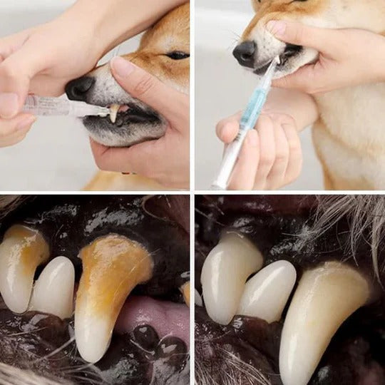 Pet Toothbrush Cleaning Solution with Soft Bristle Application for Dogs and Cats