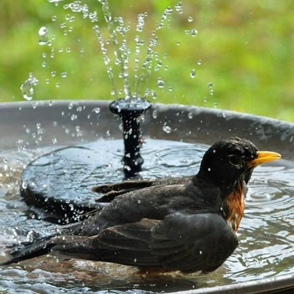 Solar Water Fountain with Four Spray Nozzles and Floating Design for Birdbaths