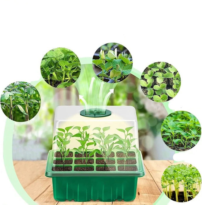 Seed Nursery Pot with Full Spectrum Grow Light and Raised Dome Cover