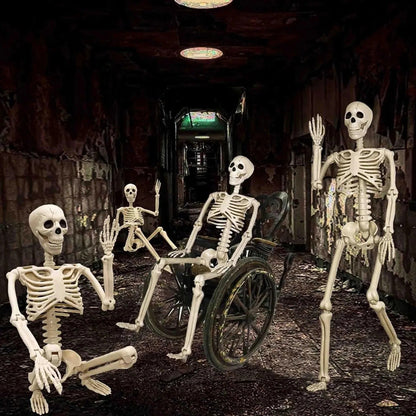 Posable Halloween Skeleton with 12 Adjustable Joints and Realistic Details, 35.4 Inches