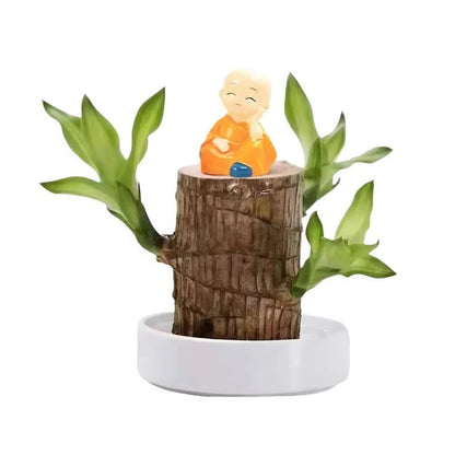 Low Light Indoor Plant with Air Purifying Leaves and Compact Desk Size All Vera Mart