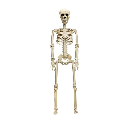 Posable Halloween Skeleton with 12 Adjustable Joints and Realistic Details, 35.4 Inches