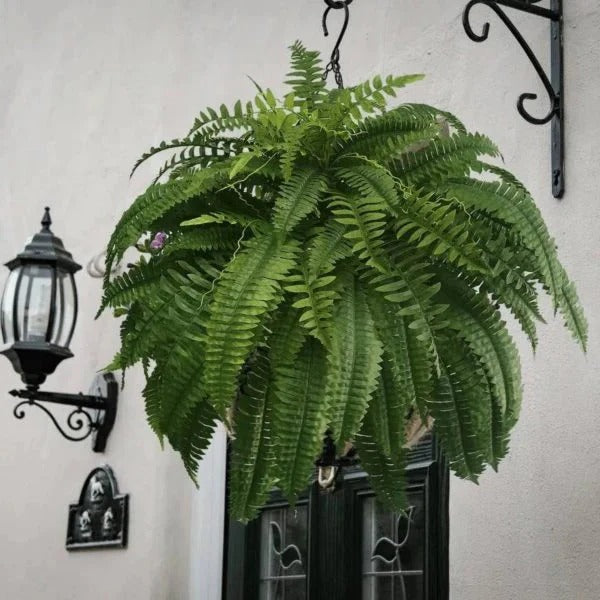Artificial Boston Fern with Adjustable Stems and UV Resistant Fronds, 18-22 Inches
