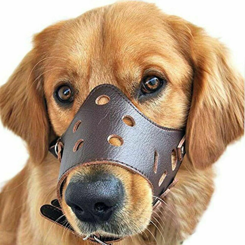 Adjustable Dog Muzzle with Anti-Slip Ring and Wide Breathing Opening