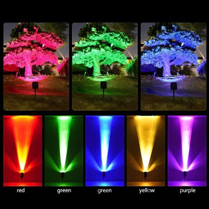Solar Spotlight with Adjustable Beam and RGB Color Options for Garden Pathways