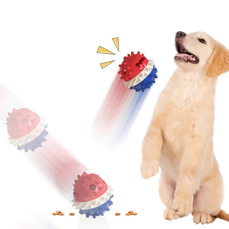 Self Rolling Pet Toy with Textured Chew Bars for All Dog Sizes