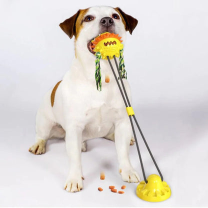 Self Rolling Pet Toy with Textured Chew Bars for All Dog Sizes