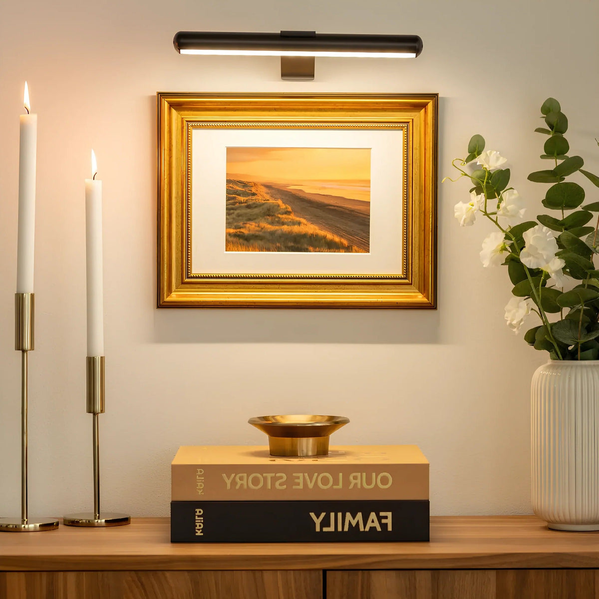 Wall-Mounted LED Picture Light with 360 Degree Rotation and Stepless Dimming
