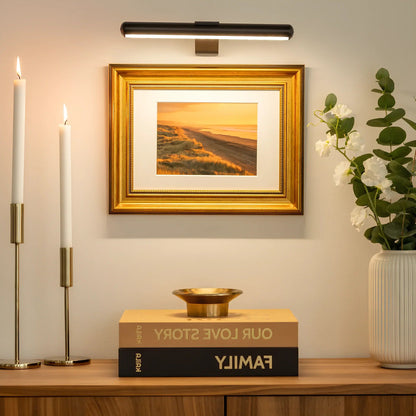 Wall-Mounted LED Picture Light with 360 Degree Rotation and Stepless Dimming