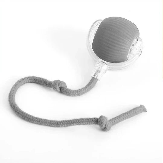 Rolling Ball Toy with Motion Activation and Soft Tail for Dogs