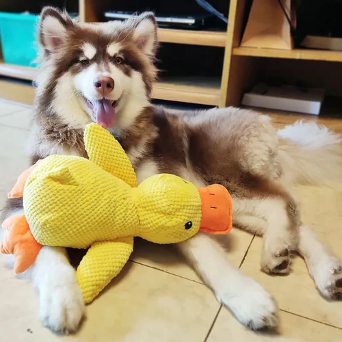 Plush Quacking Duck Dog Toy with Reinforced Seams and Low-Frequency Sound, Machine Washable