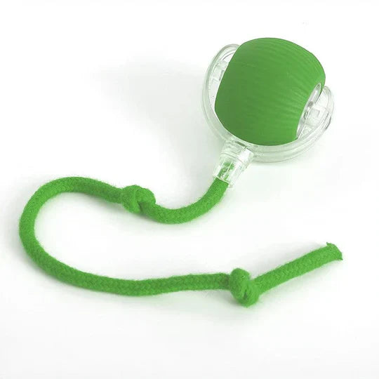 Rolling Ball Toy with Motion Activation and Soft Tail for Dogs