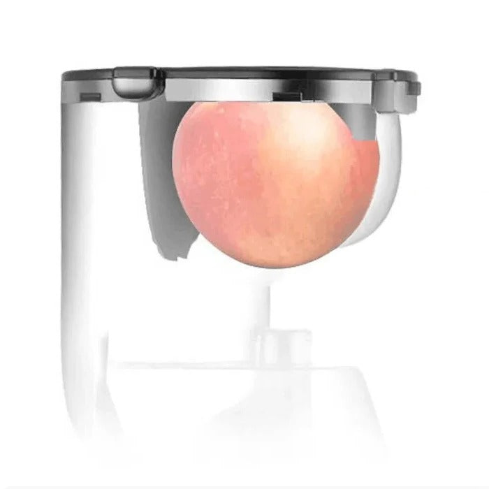 Automatic Juicer with 90mm Wide Chute and Built-In Filter Screen