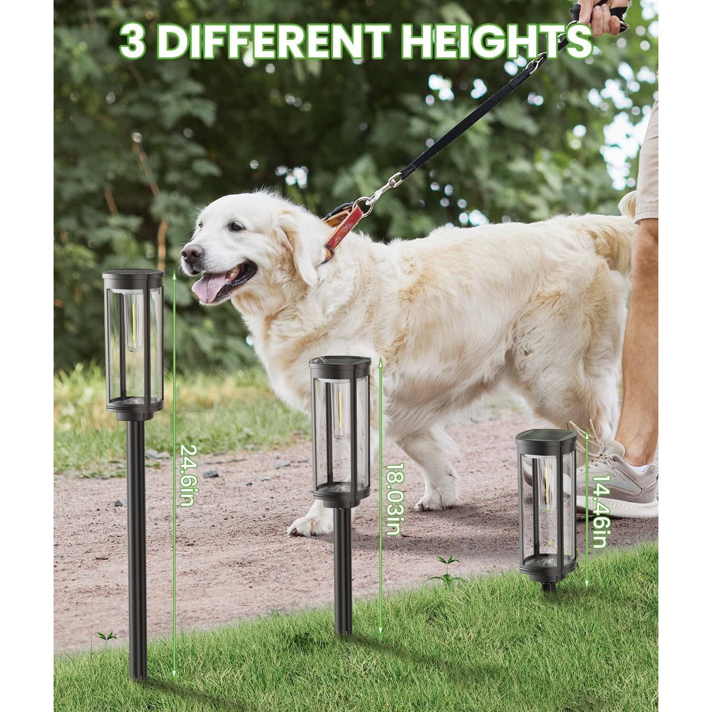 Solar Pathway Light with Monocrystalline Panel and Dusk Sensor, Pattern Projection Shade