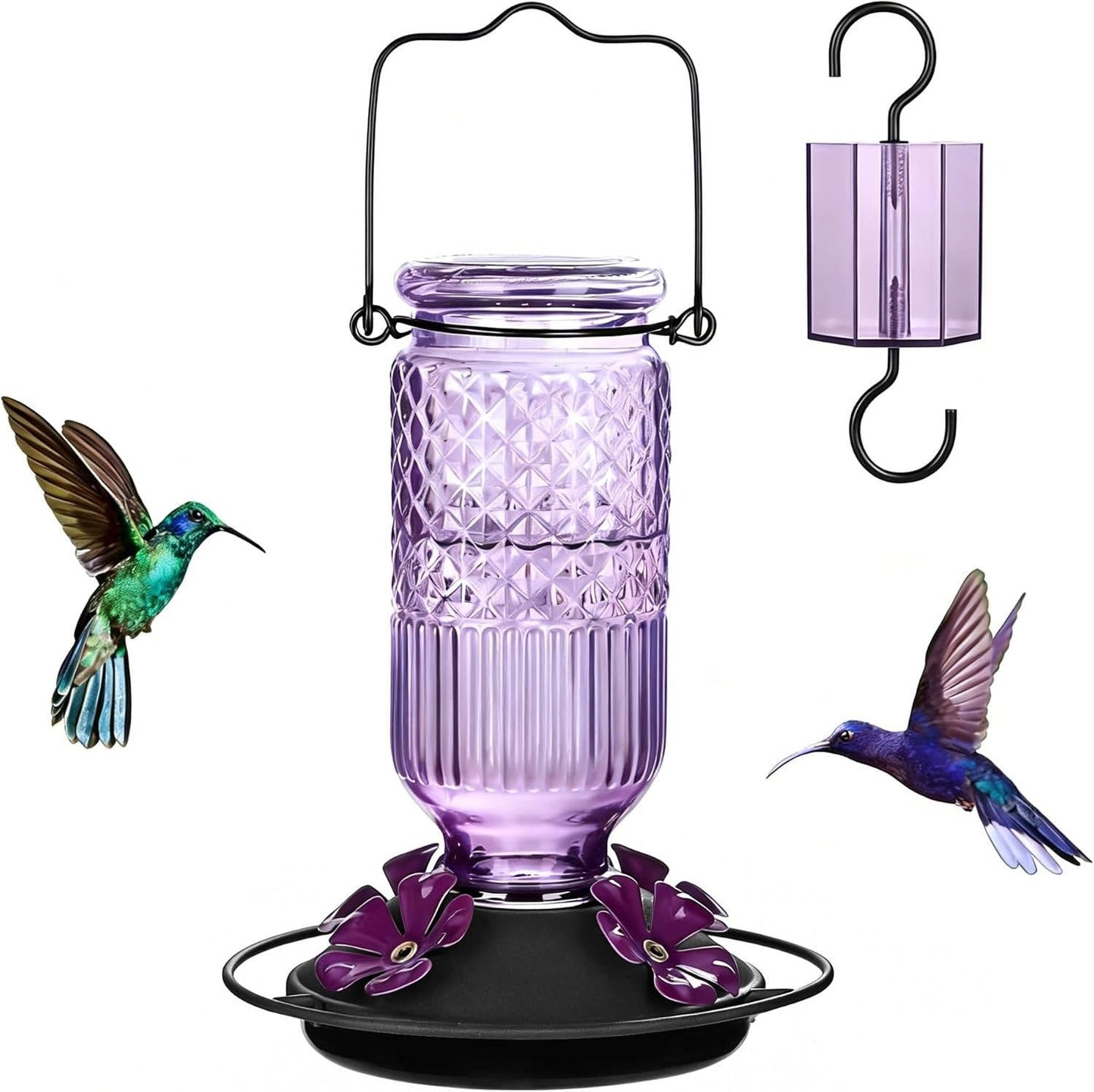 Glass Hummingbird Feeder with Bee Guard Ports and Ant Moat, 16 oz