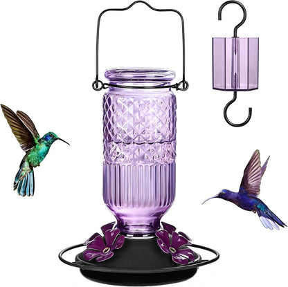 Glass Hummingbird Feeder with Bee Guard Ports and Ant Moat, 16 oz