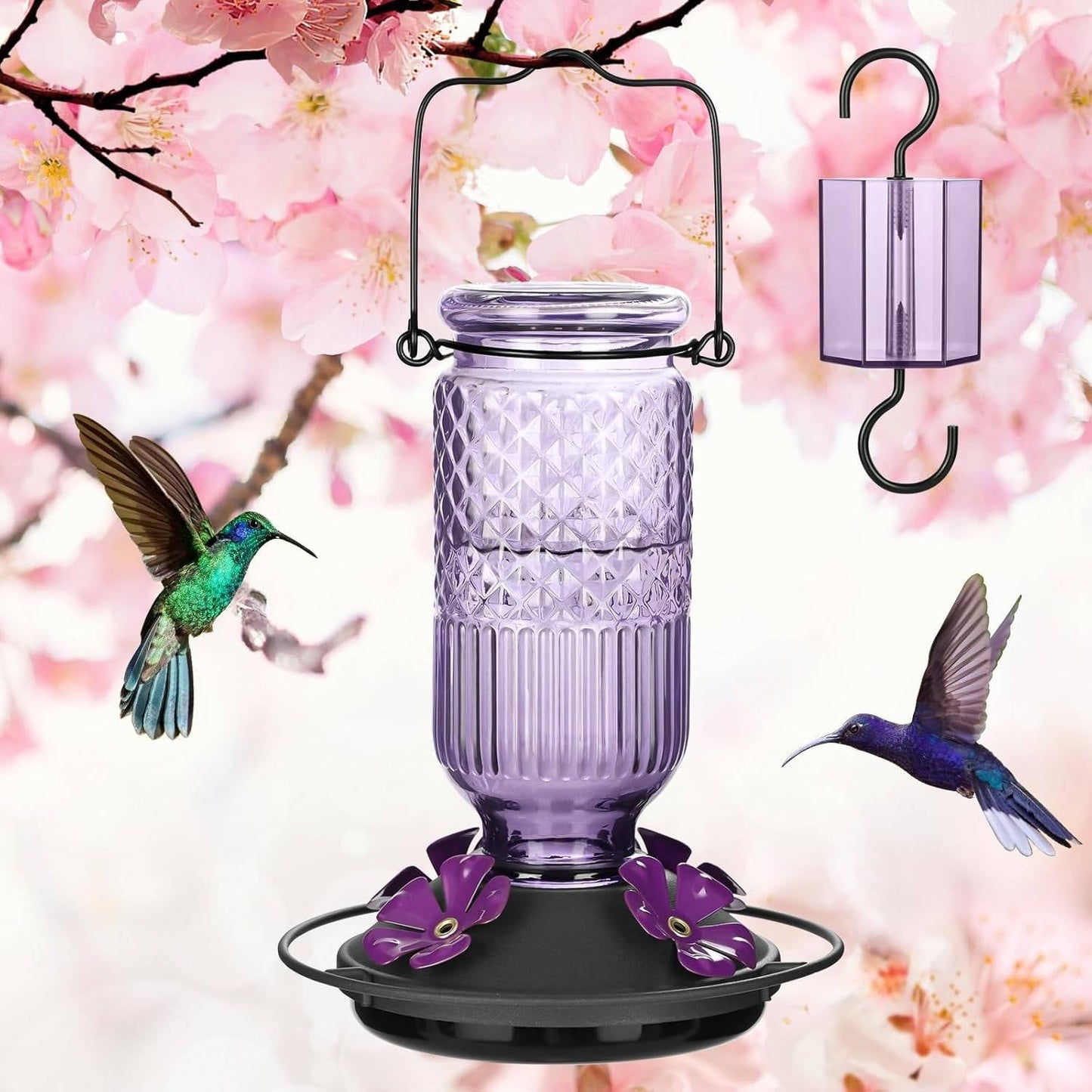 Glass Hummingbird Feeder with Bee Guard Ports and Ant Moat, 16 oz