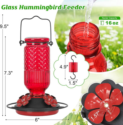 Glass Hummingbird Feeder with Bee Guard Ports and Ant Moat, 16 oz