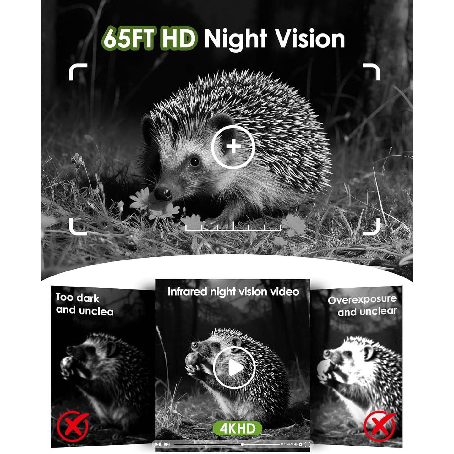 4K Wildlife Trail Camera with Solar Panel and Infrared Night Vision, App Control