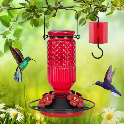 Glass Hummingbird Feeder with Bee Guard Ports and Ant Moat, 16 oz
