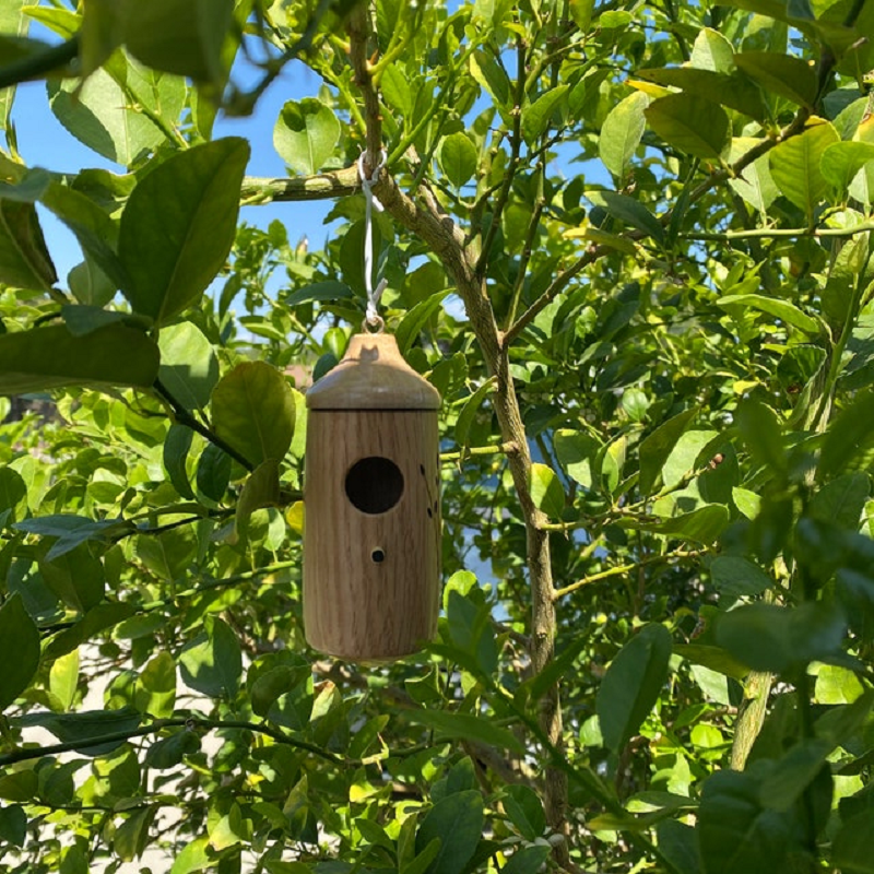 Hummingbird House with Resin Construction and Wood Grain Finish, Hanging Garden Décor